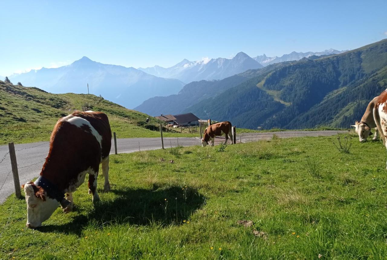 Apart Anna Mayrhofen Exterior photo